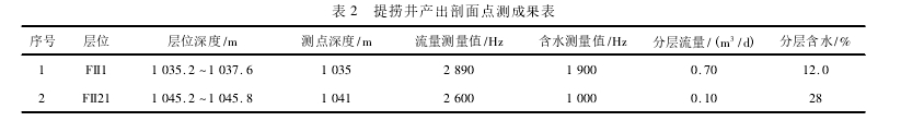 表 2 提撈井產出剖面點測成果表